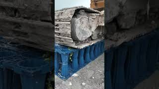 Rainwater module load test