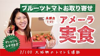 【実食】フルーツトマトのアメーラをお取り寄せして食べてみた！