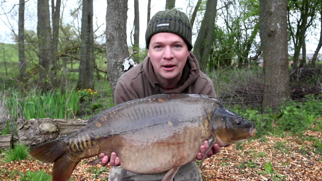 Dean Watson Carp blog spring 2016 YouTube
