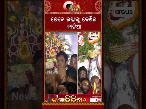ଯେବେ ଲକ୍ଷ୍ମୀଙ୍କୁ ଦେଖିଲା କାଳିଆ | Niladri Bije | Lord Jagannath | Rath Yatra | Puri | Argus News