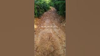 Surah al Fajr #ayatsucialquran ##suratsucialquran #surahalfajr #fajr 