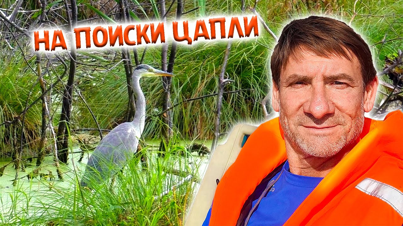 316. Конец лета на знаменитых озёрах. Моряк из меня никакой. Озеро ...