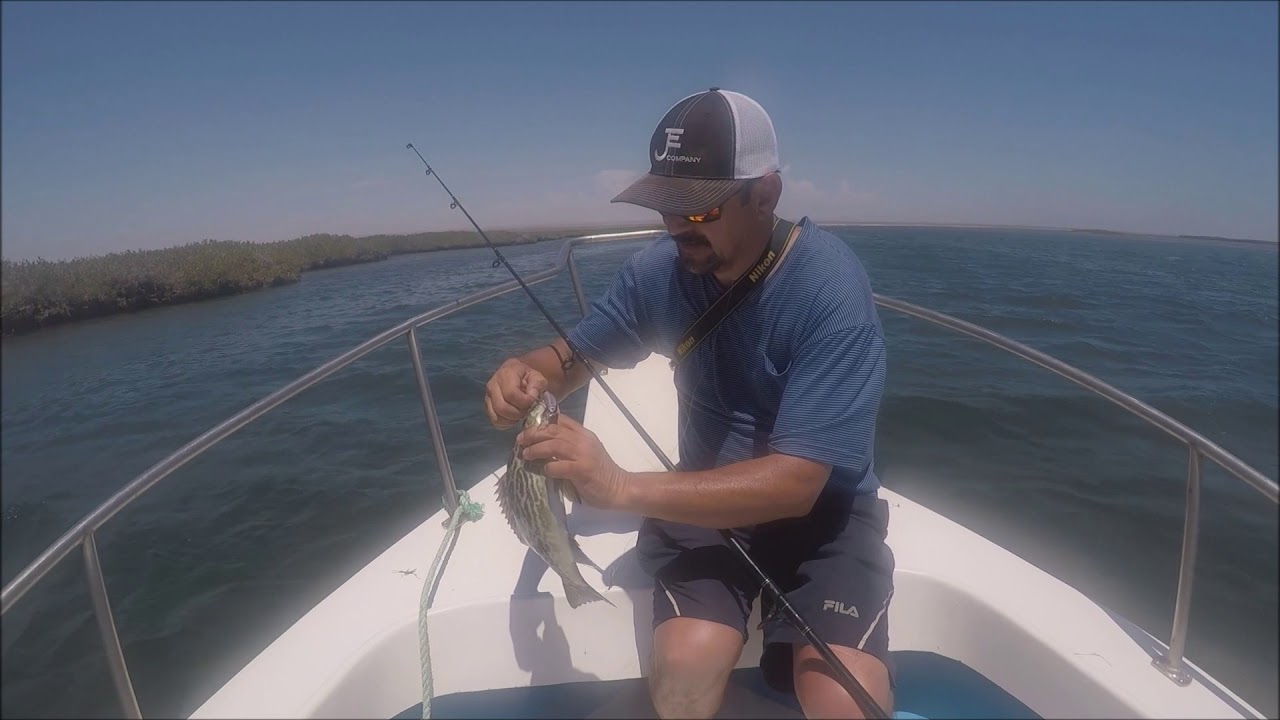 Pesca de Garropa en Manglar de la Bocana BCS México. Fishing Small Groupers In Baja Mexico.