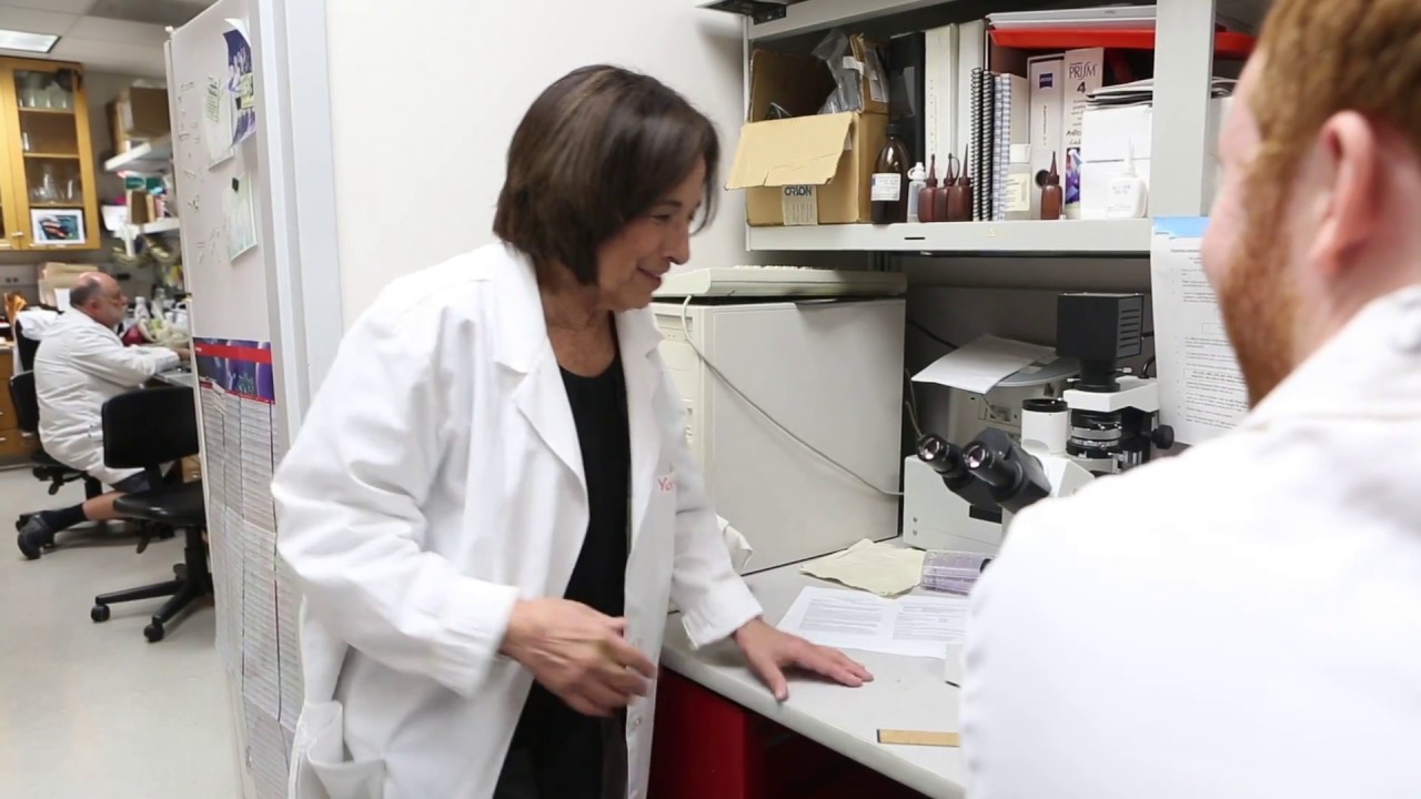 California State University Profile:​ Dr. Jill Adler-Moore - Faculty - Pomona