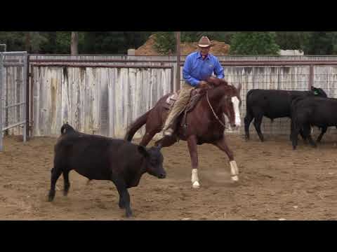 Monty Roberts' 86th birthday riding Nice Chrome