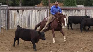 Play video: Monty Roberts' 86th birthday riding Nice Chrome
