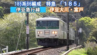 【伊豆急行線】185系B6編成　特急「１８５」2024年4月13日