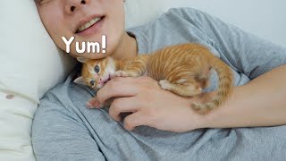 Baby Kitten Keeps Biting And Licking Me In My Arms by 코니tv conitv 2,170 views 2 months ago 8 minutes, 23 seconds