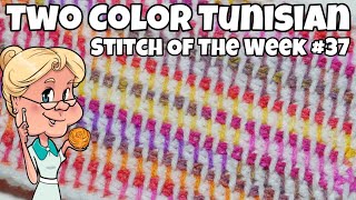 Stitch of the Week # 37 Two Color Tunisian Simple Stitch - Crochet Tutorial