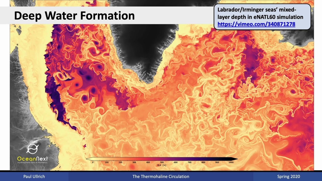 Climate Dynamics Lecture 10 - The Thermohaline Circulation
