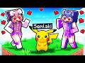 Ich habe in Minecraft so getan, als wäre ich BABY PIKACHU!