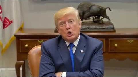 Trump: ‘I would absolutely blame the Democrats’ if there was a government shutdown
