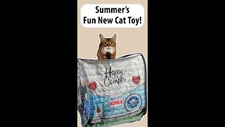 Summer the Cat Is a Happy Camper With This Fun Cat Toy for Indoor Cats #shorts