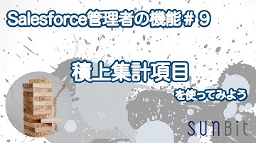 【Salesforce管理者の機能#9】積上集計項目