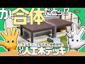 【DIY】グンタ&テビーが挑戦!初心者でも簡単な「人工木デッキ」の組み立て方完全ガイド