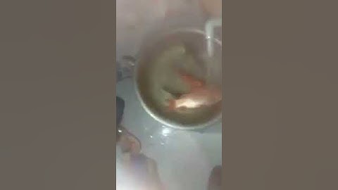 Xe Ông Táo Bị Cảnh Sát Bắt Vì Vượt Tốc Độ | Công Thức Mồi Câu Cá Sông