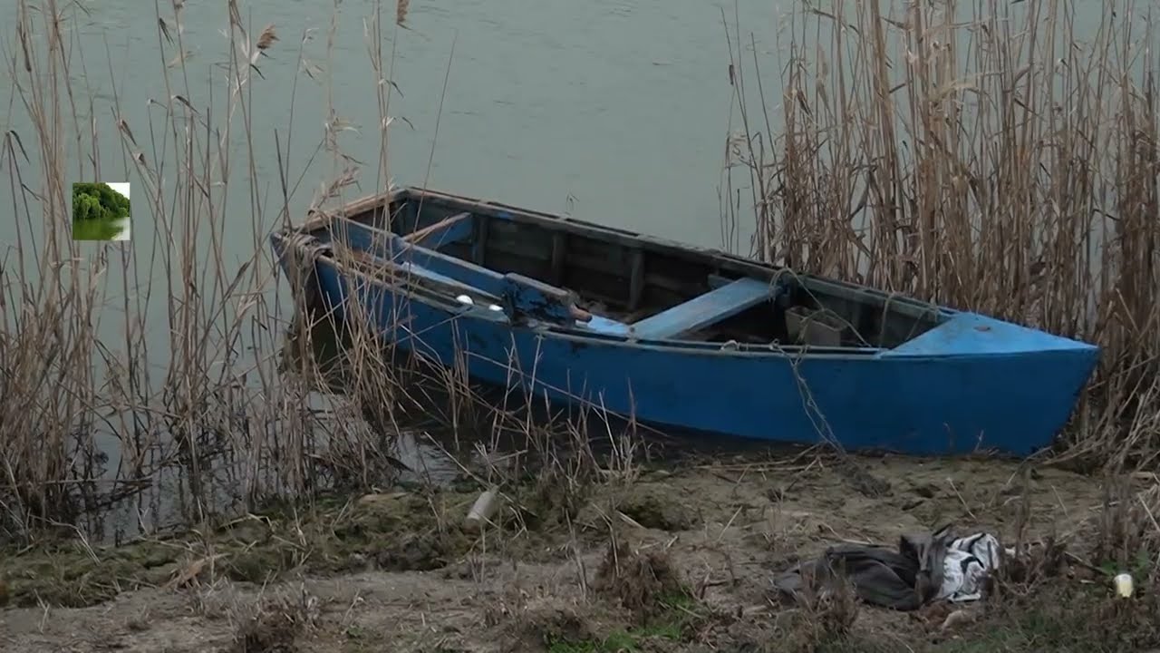 Neftçala:Baxın, balıq niyə tükənir?. Xəzərlə-Şaqayın qarşısına elə torlar qurulub ki,.#dəhşətli olay