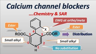 Calcium channel blockers | Chemistry and SAR