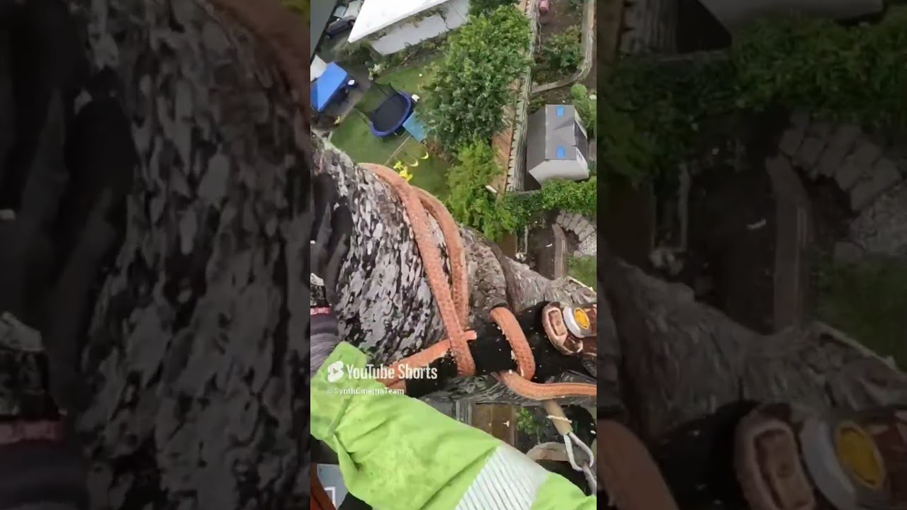 🪓🎥 Chainsaw Mastery in Action 🌲 