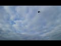 Maiden FrSky X20RS + @fmsmodelRC Rafale 64mm Maiden - Freewing 2949 2500kV - HRB 6S 1800