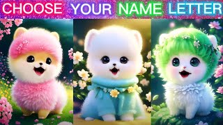 Choose Your Name Letter & See Cute Mini Pomeranian Dogs🐶😍 | Mini Pomeranians🤩 | Gift 🎁💥 | Funtuber |