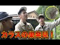 カラスの巣見つけるまで帰れません!
