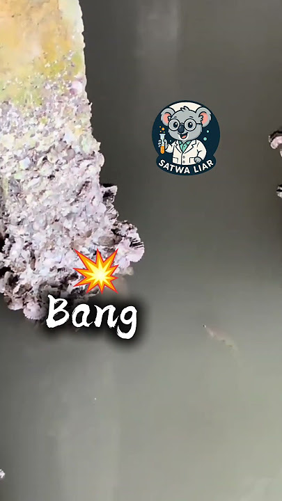 Which sound do you like? 01 @SatwaLiar193