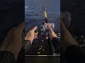 Редкий трофей в РР4