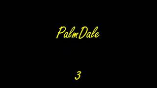 PalmDale 3 Trailer (OLD)