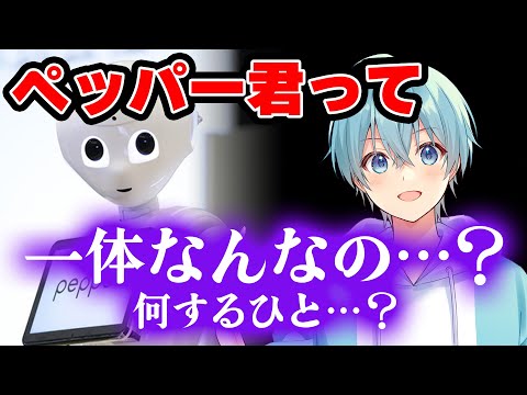 ペッパー君が何するのか知らないころんくんが面白すぎるｗｗｗ【すとぷり】【ころん/切り抜き】