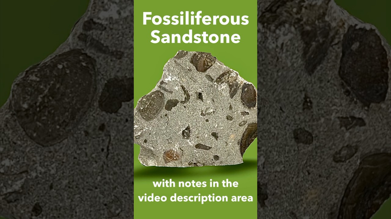 Идентифицирован ископаемый песчаник - с примечаниями в области описания видео.