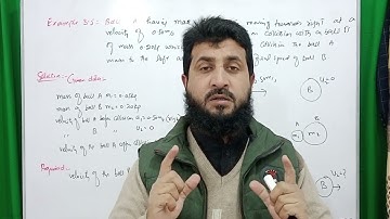 example 3.5 assignment 3.5 class 9 physics