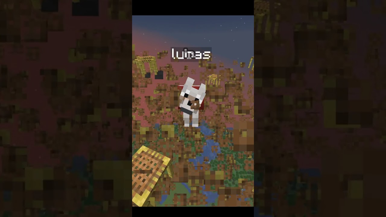 my dog... #minecraft #sad #dog #die #minecraft #viral #viralvideo #video #viralshorts #trending #hi