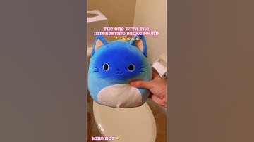 Which one are u? #squishmallows #blowup #subscribe #like #fypシ #viral #shortsfeed #shorts #kellytoy