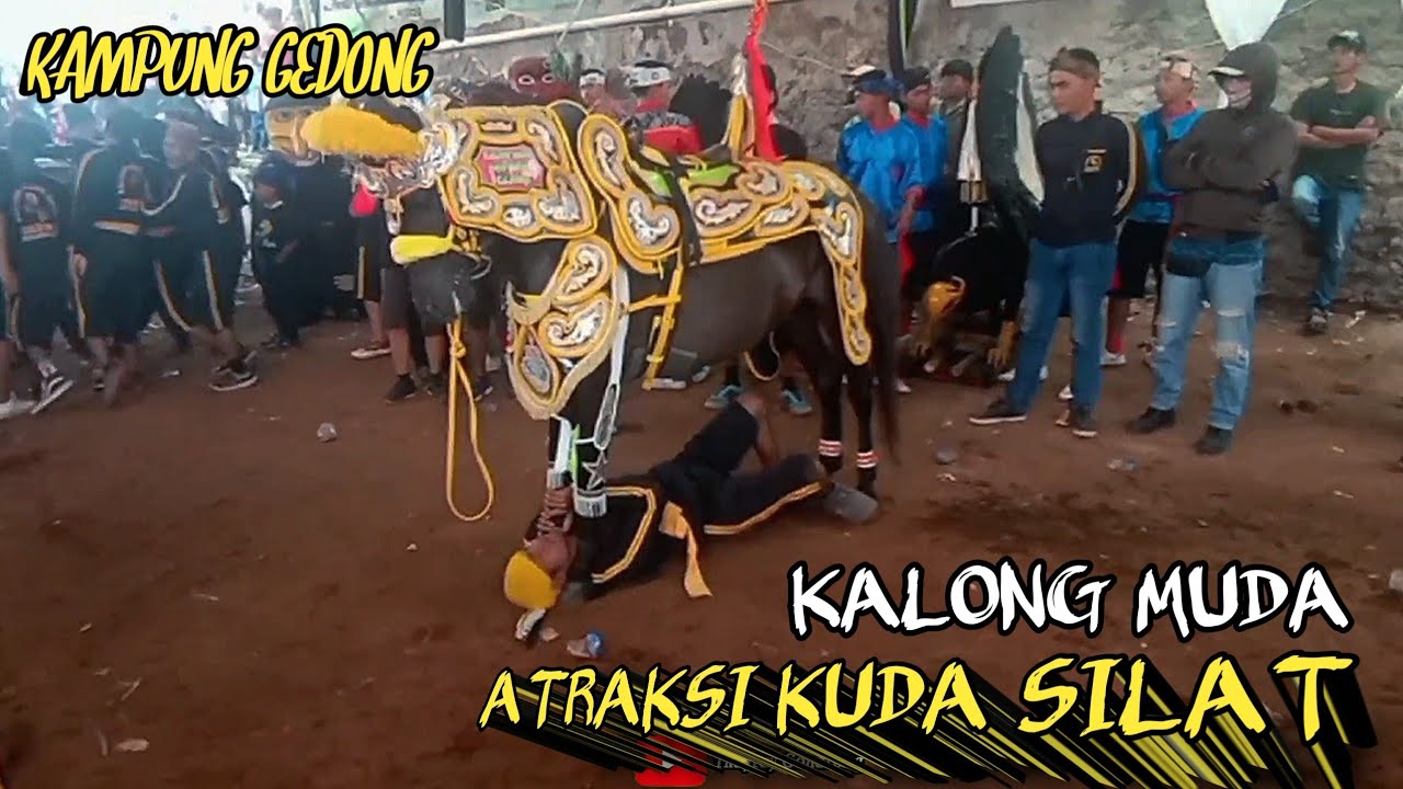 Kuda renggong ~ Atraksi kuda renggong Kalong Muda Group Dikampung Gedong Cileunyi