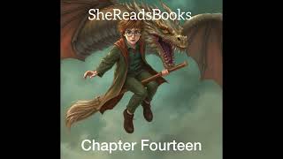 Harry Potter and the Goblet of Fire Chapter Fourteen | Audiobook