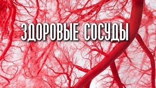 ПОЛЕЗНЫЕ РАСТЕНИЯ для ЗДОРОВЬЯ ВАШИХ СОСУДОВ