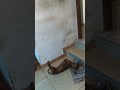 dog video short s അമ്മയുടെ - കയ്യിലെ, കിലുങ്ങാ♥️😂 ത്തകളിപാട്ടം -