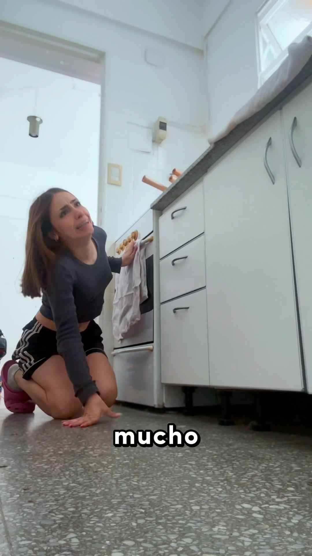 ENCONTRÉ UNA PALOMA EN MI CASA!
