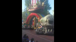 Disney fl parade thanksgiving 2015