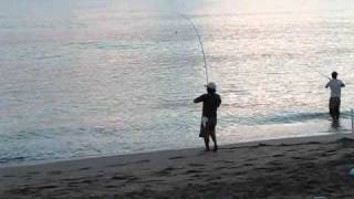 Kitaro & Beach Sunrise in Hobe Sound Resimi