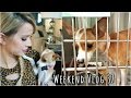 Adopting My Dog Baby! | weekend vlog 37 | LeighAnnVlogs