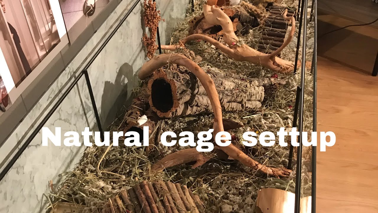 Visual idea from this collection