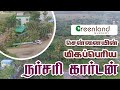 Introducing to the most versatile greenland nursery chennai     