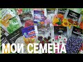 Семена на 2021 год. Обзор семян цветов и не только.