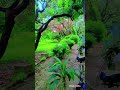 #reels #shortsfeed #viralvideo