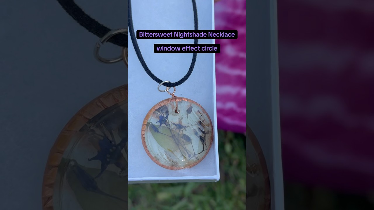 Real Preserved Bittersweet Nightshade window effect circle necklace 