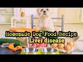 Homemade dog food recipe for liver disease canine nutritionist