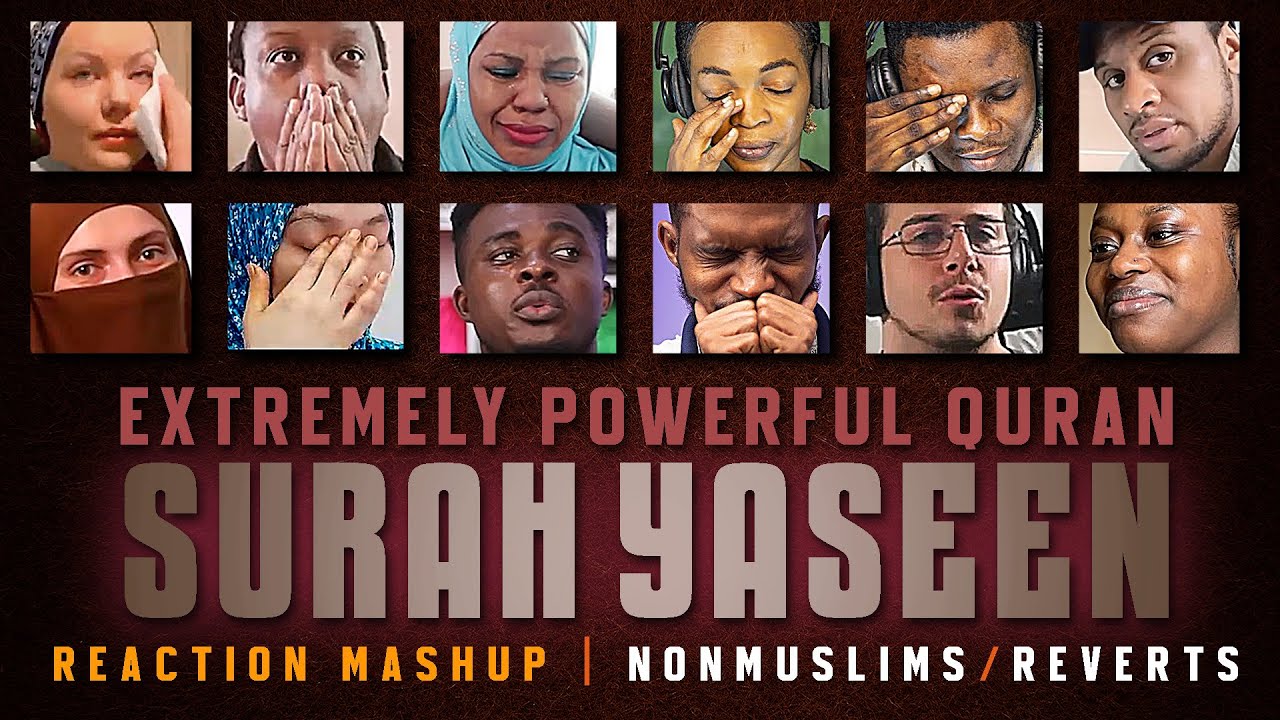 EXTREMELY POWERFUL Recitation Surah Yaseen | 12 Reactors STUNNED