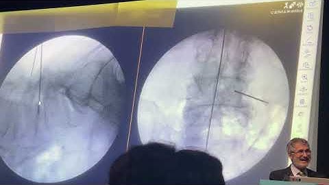 IMG 2304 Abbasi  talk in WFNS Lab for OLLIF  Dec 2025 Dubai